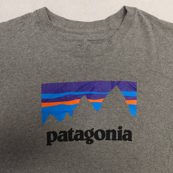 Patagonia Casual Short Sleeve Graphic T Shirt Adult Mens Size Medium M Gray - Picture 1 of 9